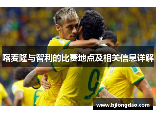 喀麦隆与智利的比赛地点及相关信息详解